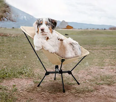 Moon Chairs